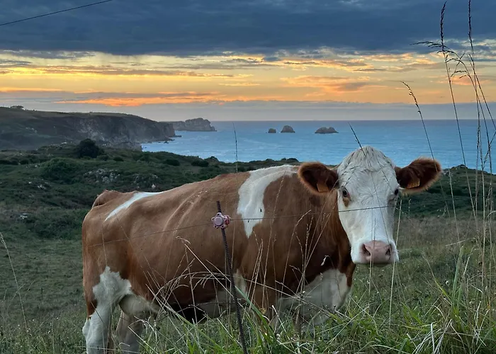 Camino A Lancha A Un Paso De La Playa De Usgo 公寓 *
